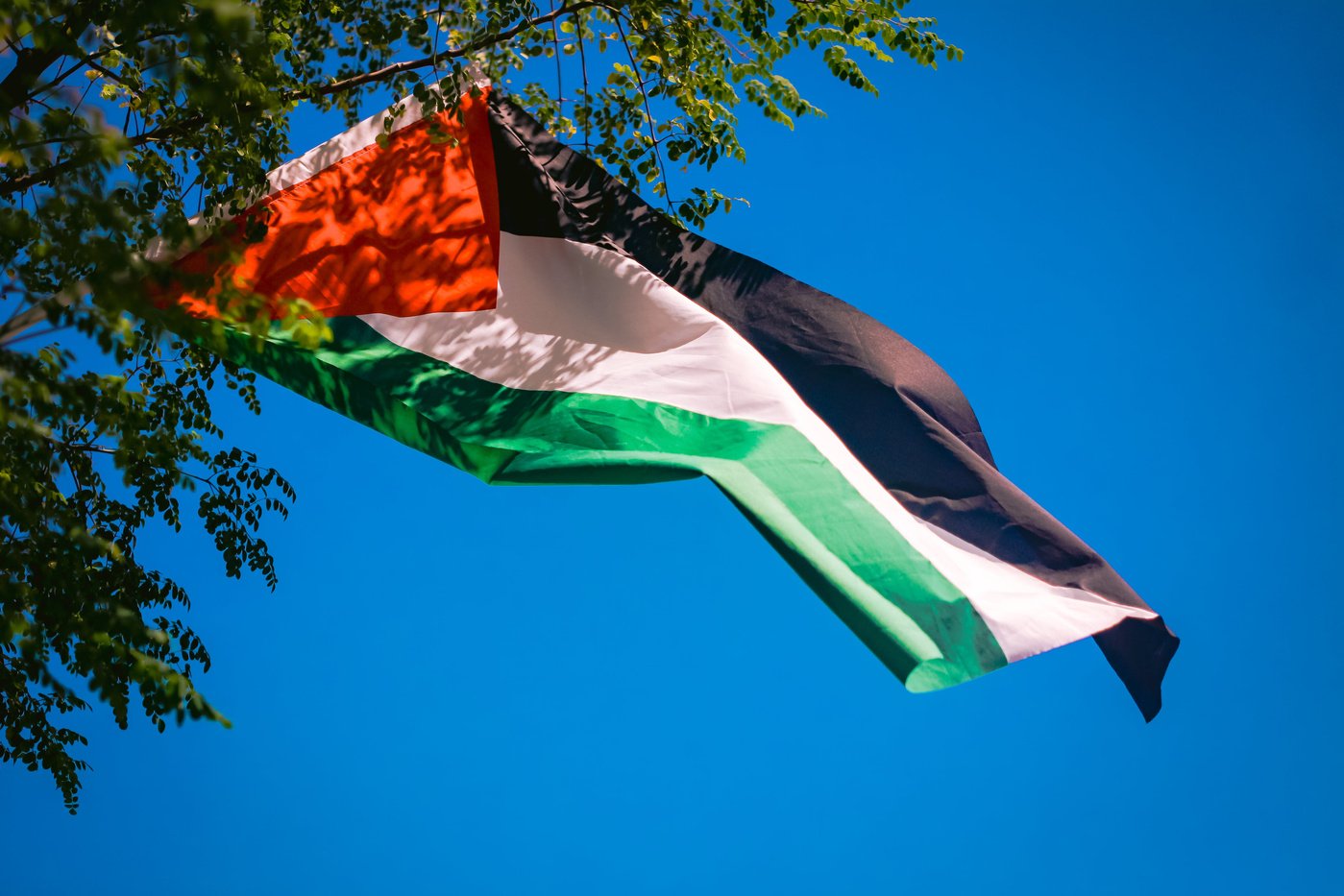 Palestine flag flying in the wind